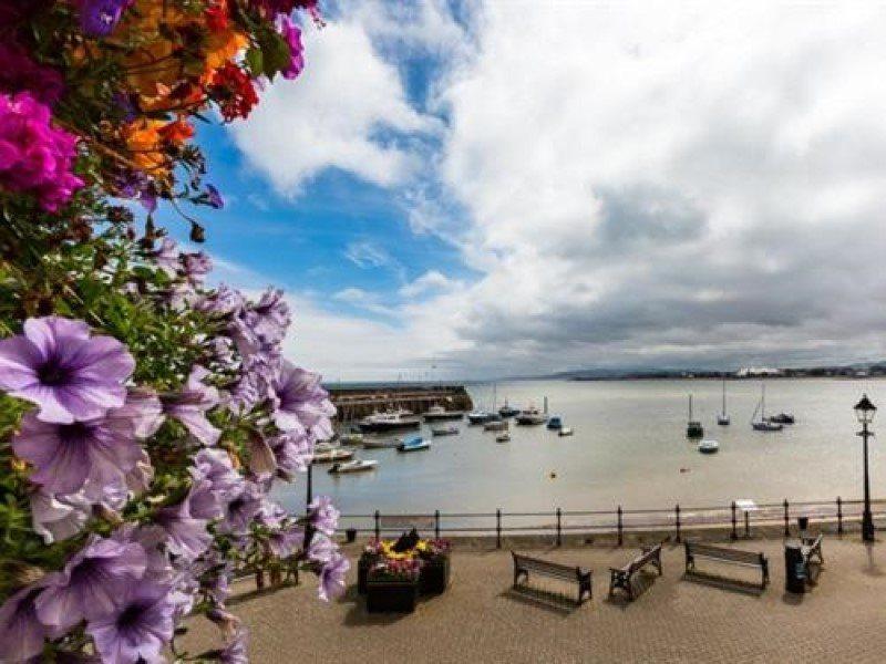 Hotel The Old Ship Aground Minehead Exterior foto